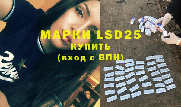 шишки Белоозёрский