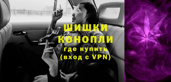 шишки Белоозёрский