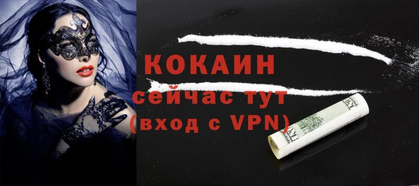 шишки Белоозёрский