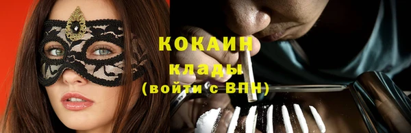 шишки Белоозёрский