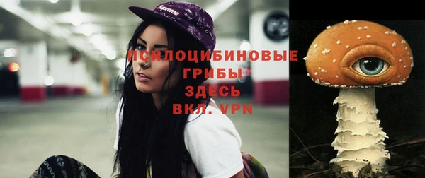 мдпв Беломорск