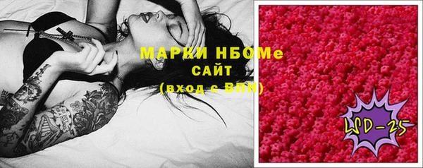 шишки Белоозёрский